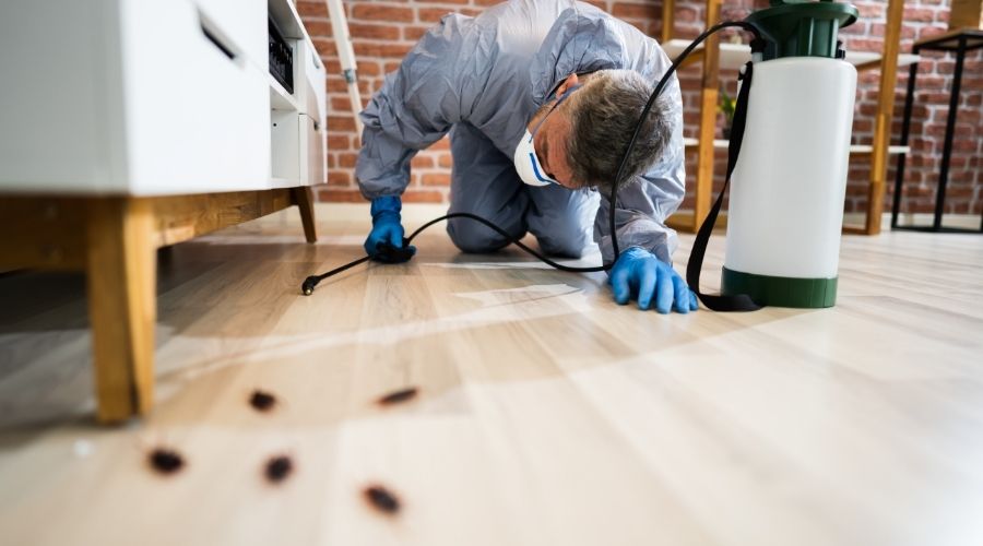 pest control grayslake co