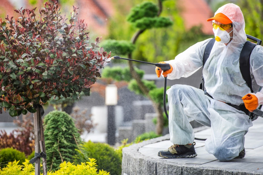 pest control 2 image